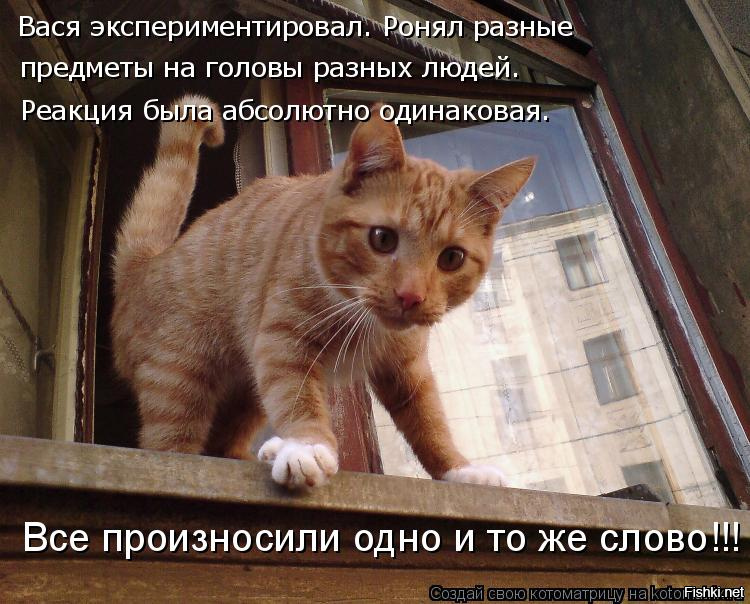 Подборка прикольных фотографии