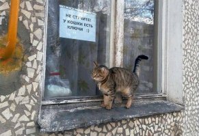 Подборка прикольных фотографии