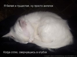 Картинки из сети