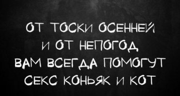 НАПОИТЬ КОТА И ТРАХНУТЬ???