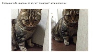 Подборка прикольных фотографии