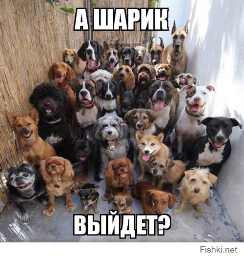 Прикольные ухахашечки!