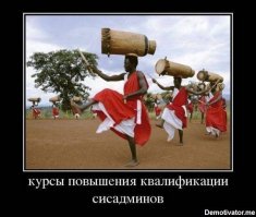 Гифки дня!