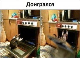 Похоже не жертвоприношение кота всемогущей духовке