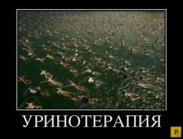 Смешные и позитивные фото с моря