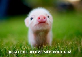 Немного гифок и фоток