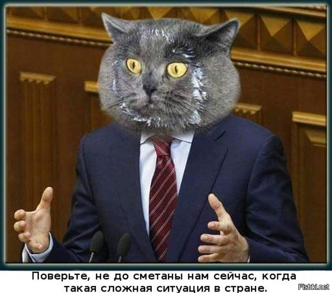 Демотиваторы!