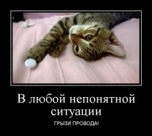 Подборка фото-приколов. Всем хорошего настроения!