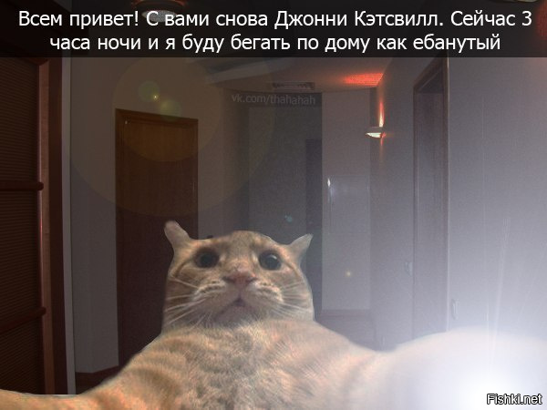 Подборка фото-приколов. Всем хорошего настроения!