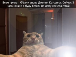 Подборка фото-приколов. Всем хорошего настроения!