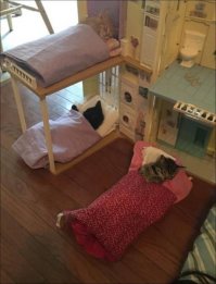 Учитывая кукольную мебель, прихожу к неизбежному выводу, что дети кого угодно затрахают