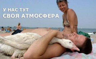 Смешные и позитивные фото с моря