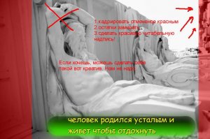 Подборка прикольных фотографий!