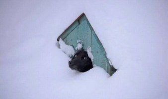 Какой там кокаинск