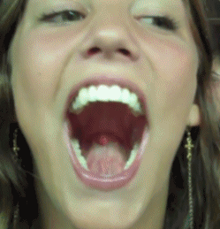 42cdd502492a0b62e351837687273947.gif