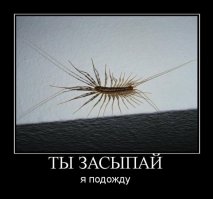 На самом деле на первом фото - безопаснейшее существо, а вот тварь со второго запросто может залезть в твой тапочек и пожелать тебе доброго утра!