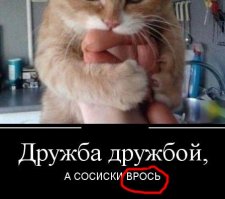 Дружба дружбой, но "садись, два!"