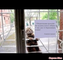 Это же кот, их учиться не пускают.