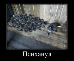 Эт ты точно психанул!