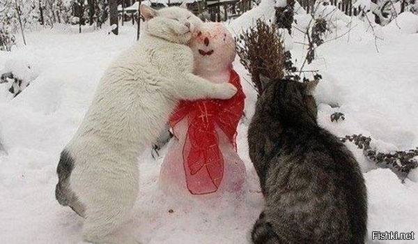 Таких снеговиков вы еще не видели!
