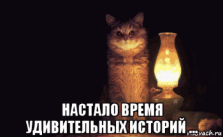 "Бегу на балкон проверять, что случилось, жене кричу: "пожар, звони 112"." А у кота - керосинка