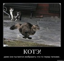 Прикольные демотиваторы