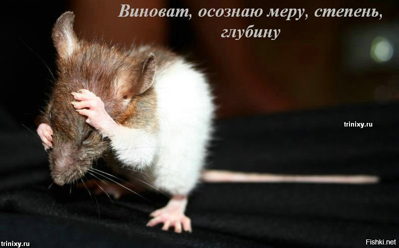 Открытка с извинениями Открытка с извинениями
