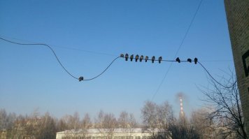 то чувство когда не похудела к новому году...