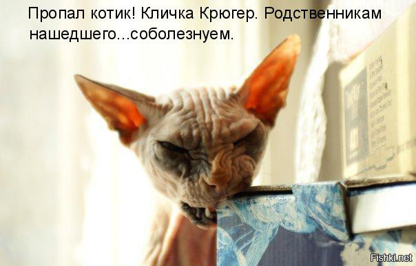 Подборка прикольных картинок