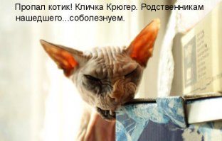 Подборка прикольных картинок