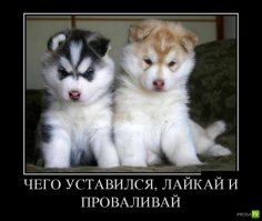 Подборка прикольных картинок