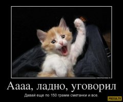 Подборка прикольных картинок