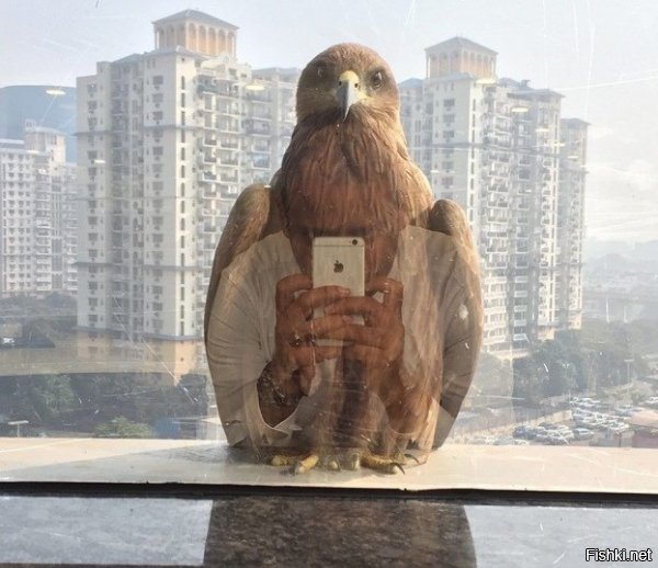 Путин фотографирует?