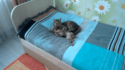 РАнял ЙОЛХУУУ...