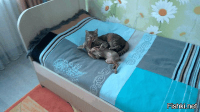 РАнял ЙОЛХУУУ...