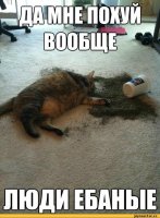 Коты и их люди