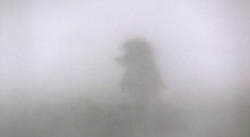 Гонки Дальнобойщиков