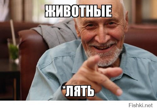 Водителя бутиратчика задержали за рулем в Питере