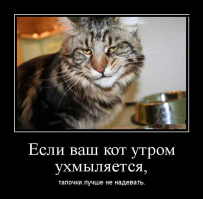 Прикольные и жизненные демотиваторы, демотивируйся!