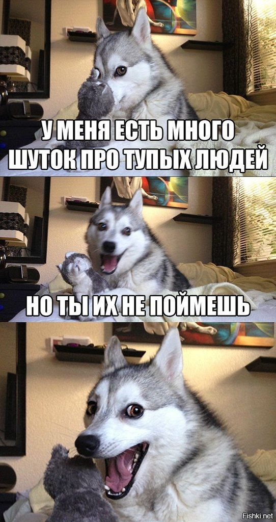 86b47c34ae4abef31cd4adb6dfd6acfa.jpg
