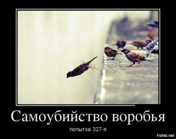 Забыли дописать за день или час.
