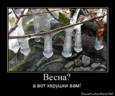 Прикольные картинки и демотиваторы