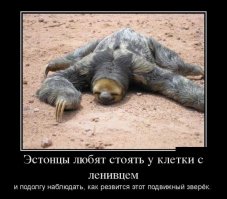 Прикольные картинки и демотиваторы