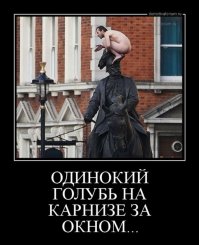 Прикольные картинки и демотиваторы