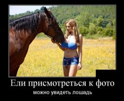 И эта лошадь докопалась до коня...