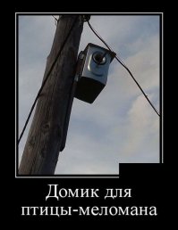 оказывается у меня есть скворечник ))))