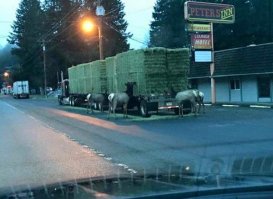 Автомобильные фотоприколы