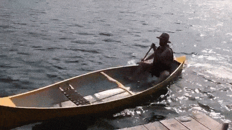 a8d81cb67973c62c9adc6e381c057b5d.gif