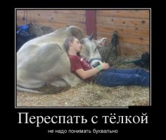Автомобильные фотоприколы