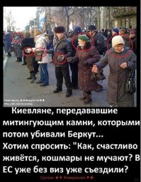 Политические коментарии соцсетей - 119